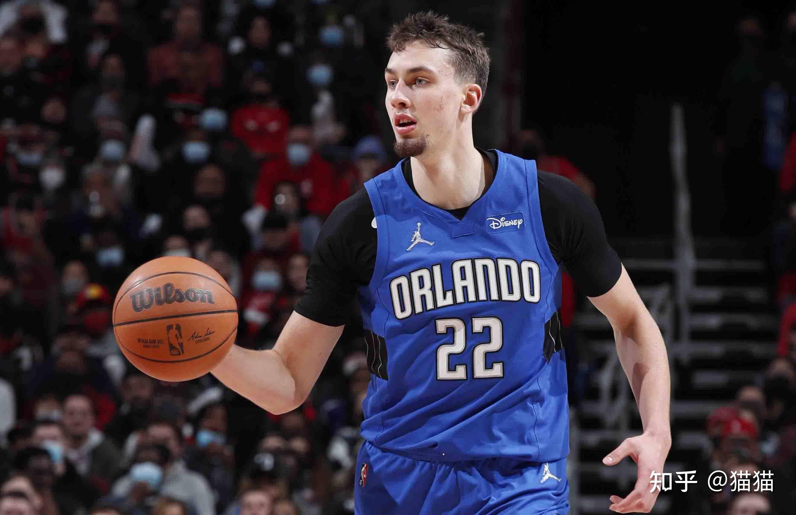 家队的整体 家队的整体