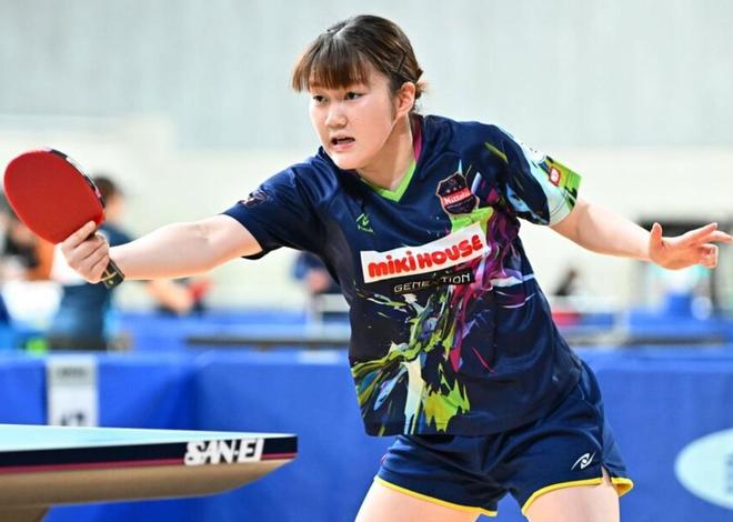 樊振东凭借 樊振东凭借