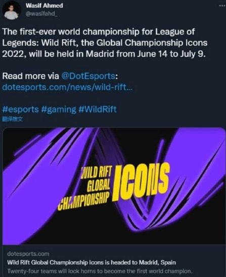 声望的足球 声望的足球