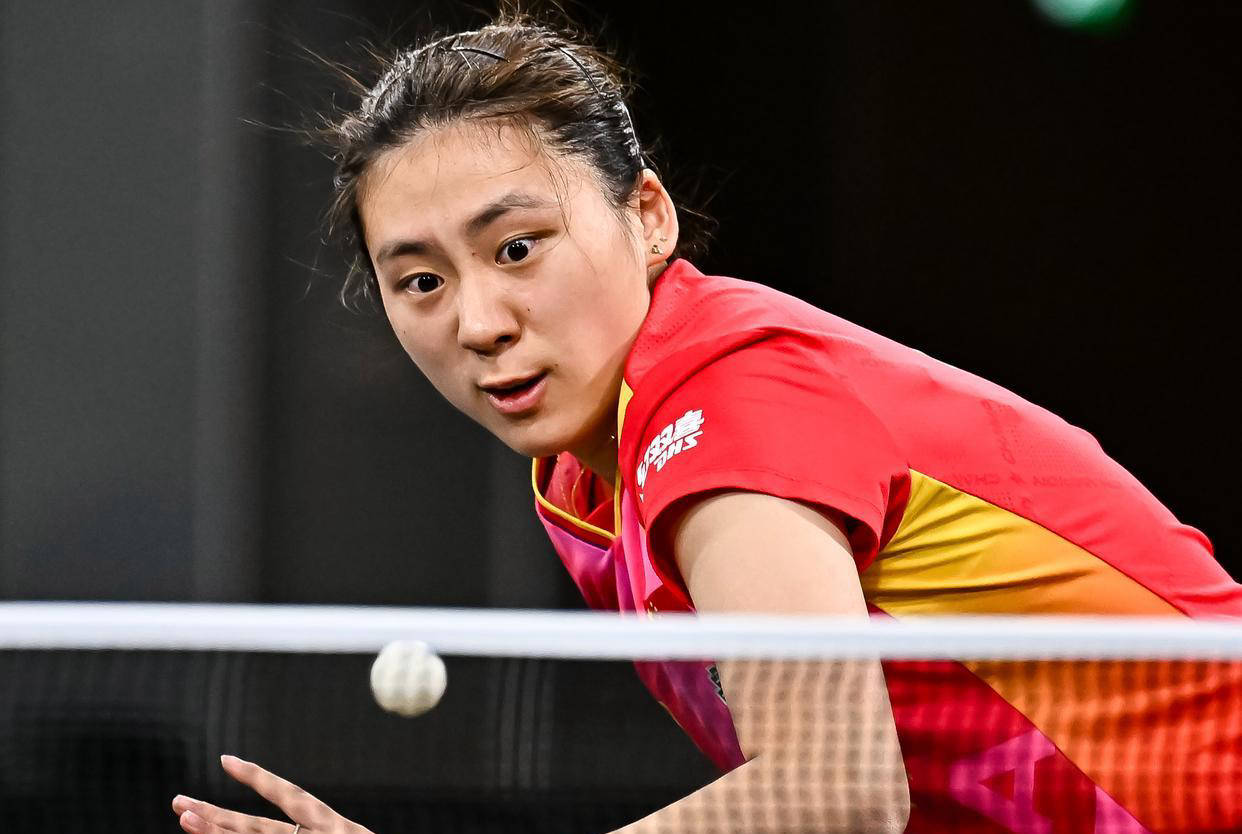 的辉煌无疑 的辉煌无疑